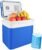 AstroAI Electric Cooler 26 Quarts/ 24 Liter Portable Thermoelectric Car Cooler for Beverage, Beer, Wine, Seafood, Fruits, Home and Travel with 2 Ice Packs, ETL Listed (Blue)