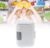 Mini Fridge for Bedroom, Portable 4L Refrigerator Outdoor Car Household Medicine Storage Fridge Cooler Freezer Electric Plug In Cooler & Warmer for Food, Drinks, Beauty & Makeup