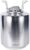 YaeBrew Stainless Steel 2.6 Gallon Mini Ball Lock Keg System for Small Batch Homebrewing Beer Brewing Strap Handle (10L)